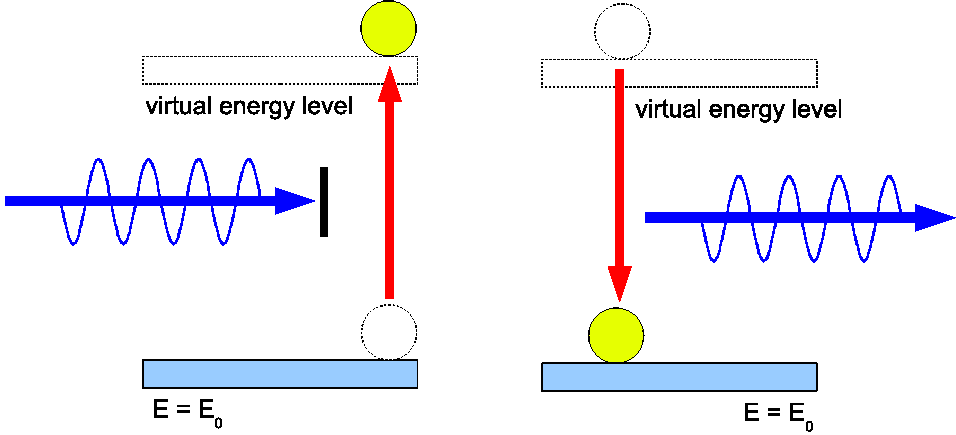 book biological magnetic